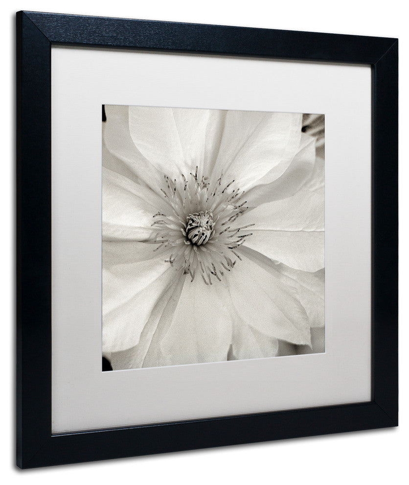 Alan Blaustein ''Florison 32'' Art, Black Frame, White Mat, 16x16