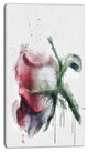 Budding Pink Rose Watercolor Sketch, Flowers Canvas Wall Artwork, 16"x32"