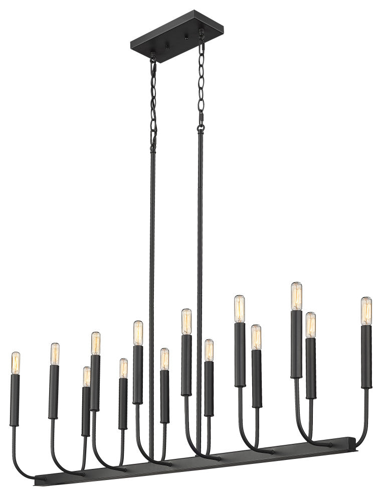 Sophisticated and Modern 14 - Light Black Large Oval Chandelier