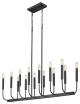 Sophisticated and Modern 14 - Light Black Large Oval Chandelier