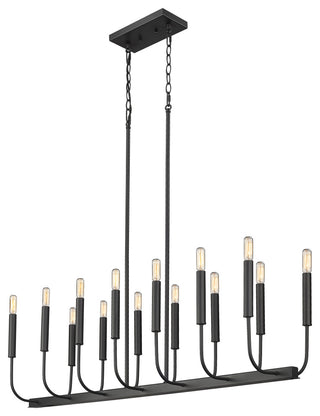 Sophisticated and Modern 14 - Light Black Large Oval Chandelier
