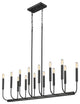 Sophisticated and Modern 14 - Light Black Large Oval Chandelier