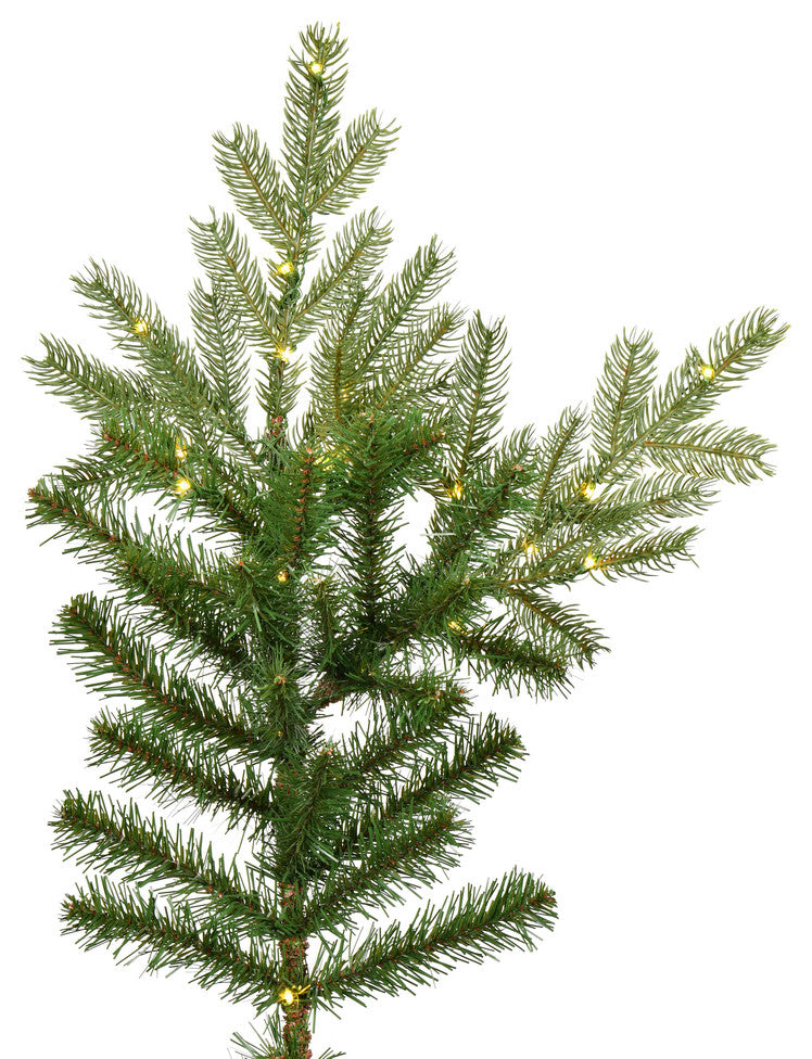 Vickerman Sherman Fir Artificial Christmas Tree, Warm White, 6.5' X 63"