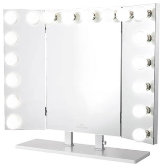 Trifecta Pro Vanity Mirror, Silver, Led Globe Bulbs