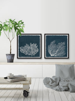 Tropical Corals Diptych, 2-Piece Set, 18x18 Panels