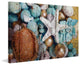 "Blue and Gold Shell Decor" Print on Canvas by Irena Orlov