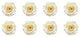 Regular Preserved Roses, Set of 8, Pure White