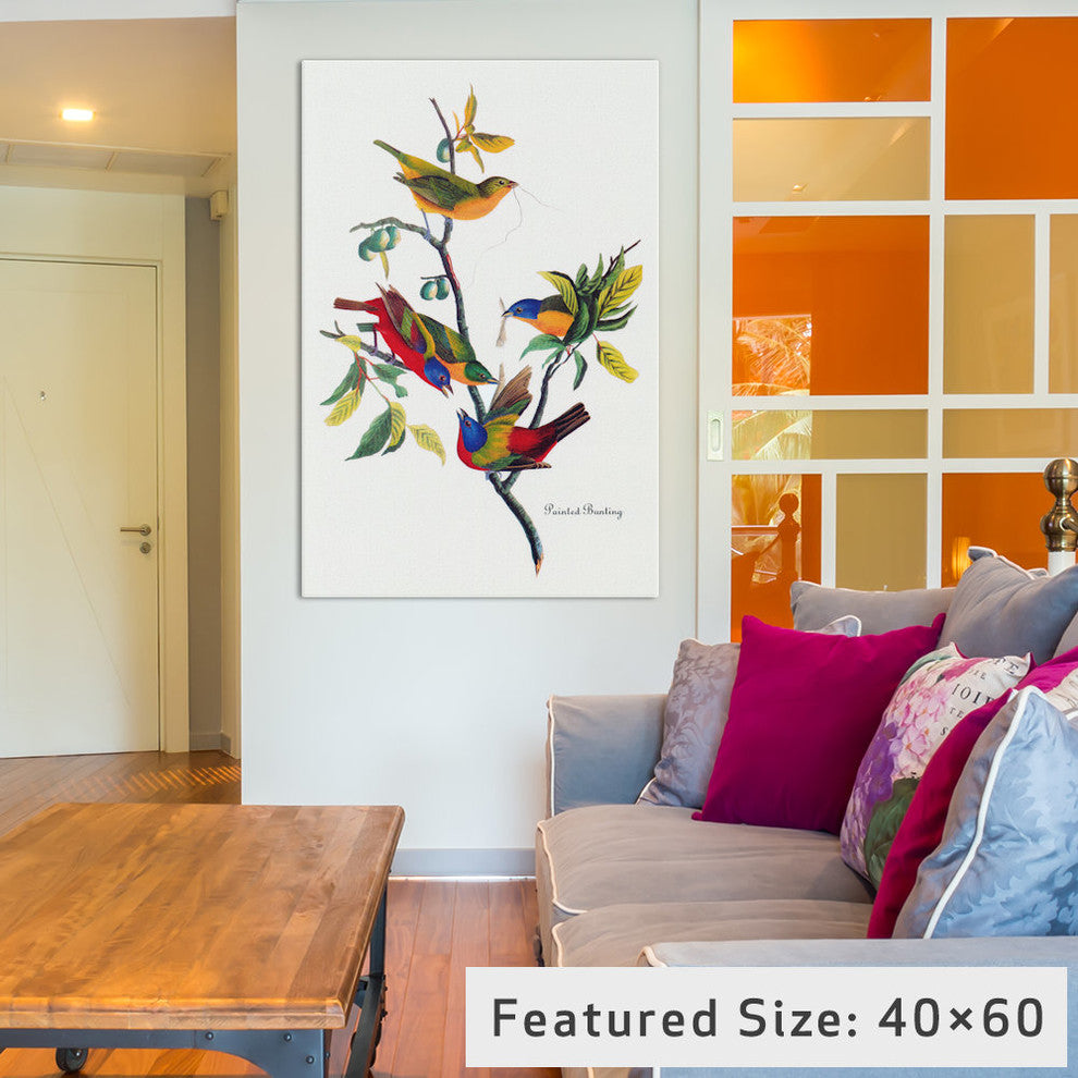 "Painted Bunting" by John James Audubon, 18x12x1.5"