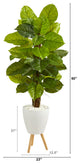 60" Large Leaf Philodendron Faux Plant, White Planter With Stand, Real Touch
