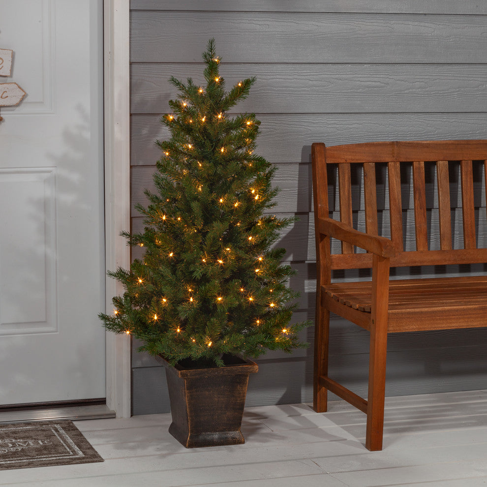 4' High Natural Cut Pre-lit Manitoba Pine  in Brown Container