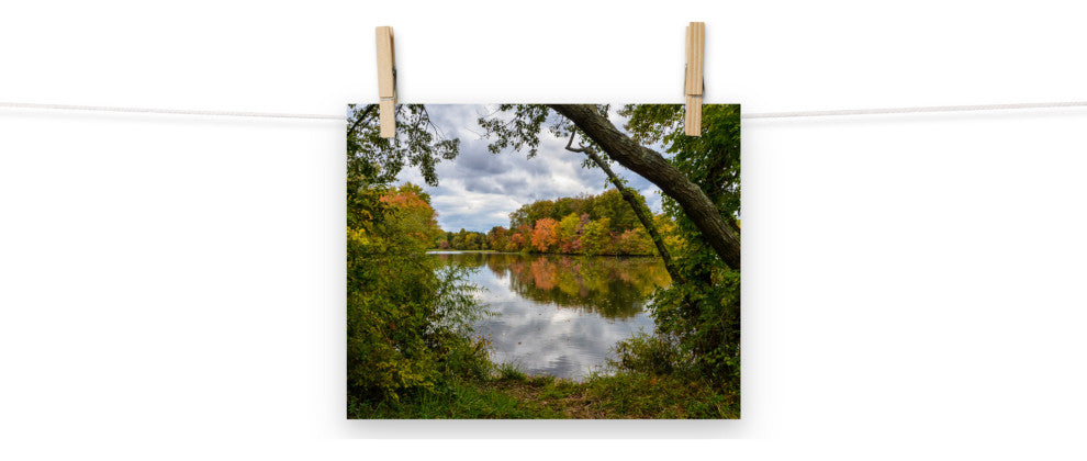 Lost in Autumn Color Landscape Photo, Rural Unframed Wall Art Print, 8" X 10"