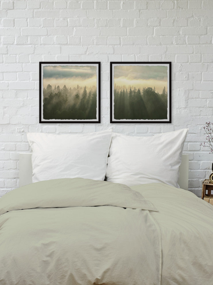 Sunlight Through Trees Diptych, 2-Piece Set, 32x32 Panels