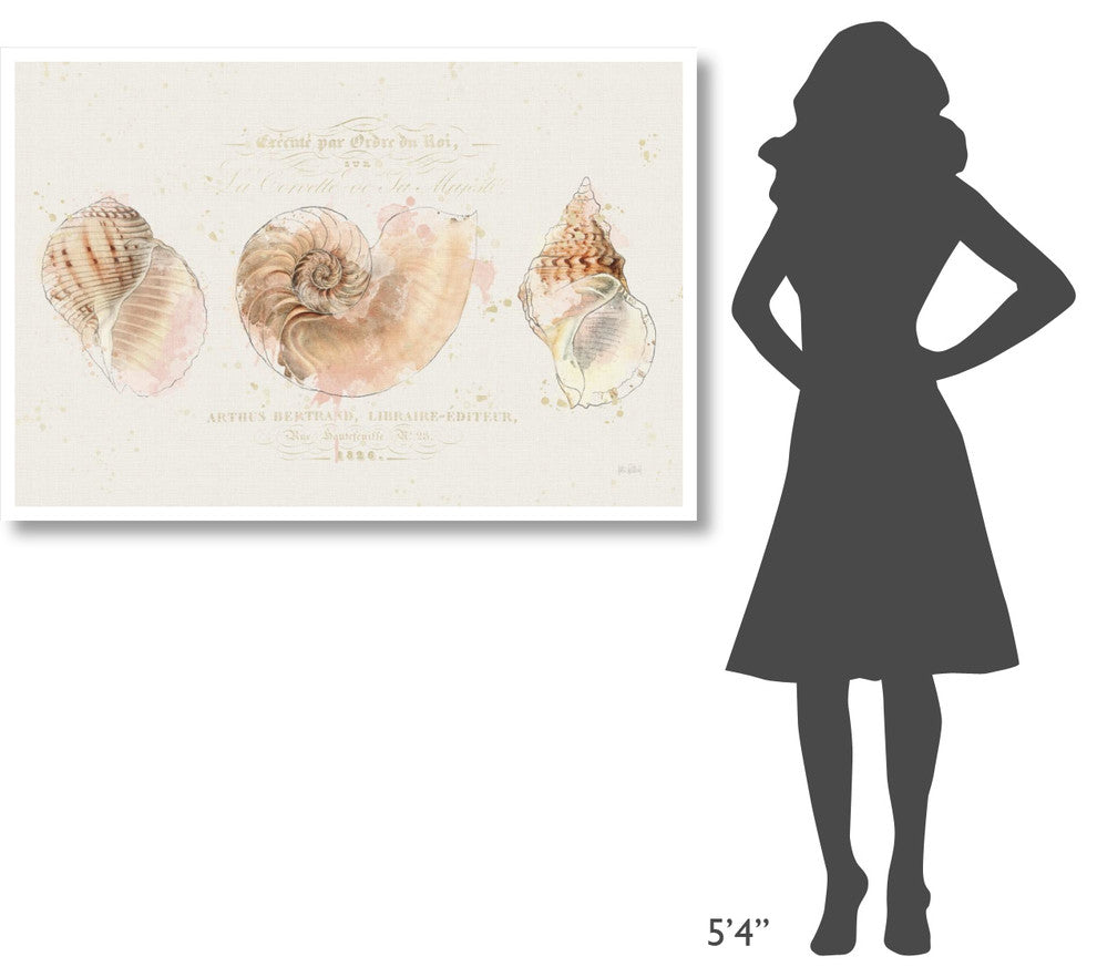 "Shell Collector I" Digital Paper Print by Katie Pertiet, 50"x34"