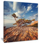 "Sunrise With Old Tree at Peak" Landscape Photo Wall Art, 12"x20"