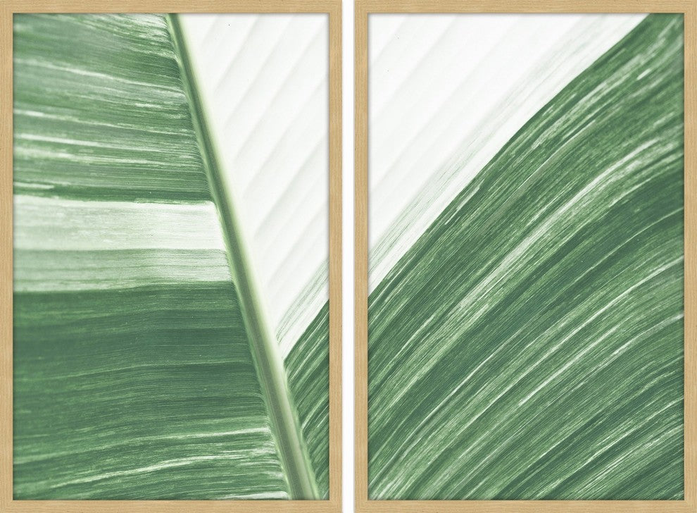 Ventura Diptych, 24x18