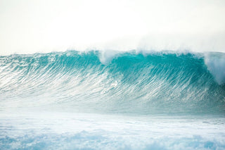 "On the Edge" Painting Print on Wrapped Canvas