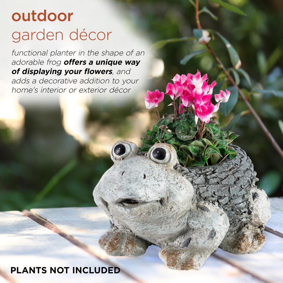 Frog Planter, 11"