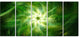 Rotating Fractal Green Fireworks, Floral Canvas Art Print, 60"x28", 5 Panels