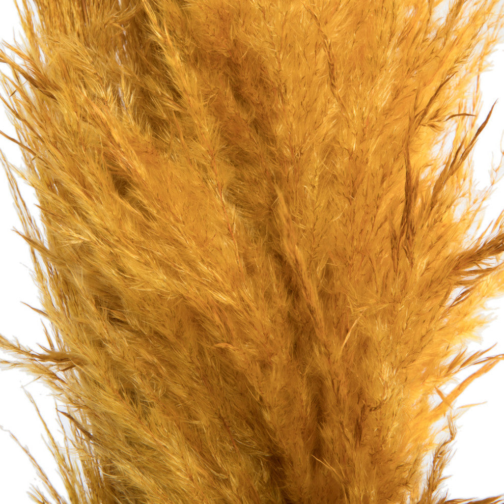 Vickerman 46" Dried Pampas Grass, Aspen Gold