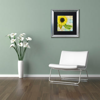Color Bakery 'Soleil III' Matted Framed Art, Silver Frame, Black Mat, 16x16