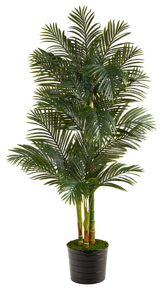 6' Golden Cane Artificial Palm Tree, Black Tin Planter