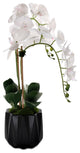 Real Touch Phalaenopsis Orchids in Black Dimensional Pot