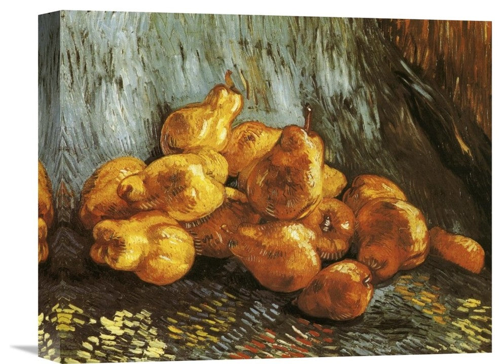 "Pears" Stretched Canvas Giclee by Vincent Van Gogh, 16"x13"