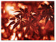 ''Welding Burns'' Canvas Art by Philippe Sainte-Laudy