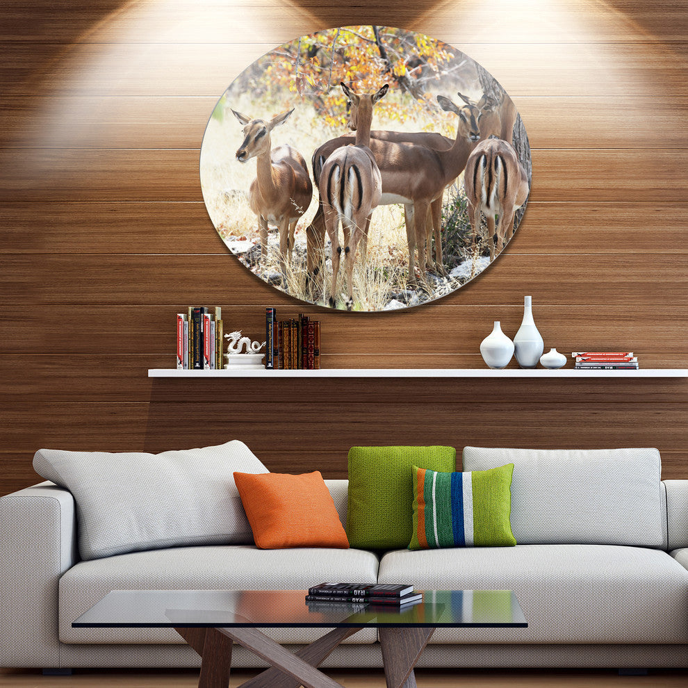Beautiful Herd Of Antelope Gnu, African Round Wall Art, 11"