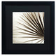 Alan Blaustein ''Florison 66'' Art, Black Frame, Black Mat, 16x16