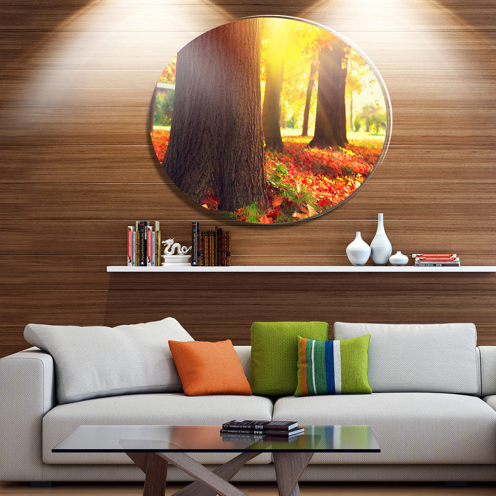 Autumn Trees In The Sunlight, Landscape Wall Disc Metal Wall Art, 23"