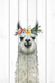 "Flower Crowned Llama" Painting Print on White Wood, 8x12