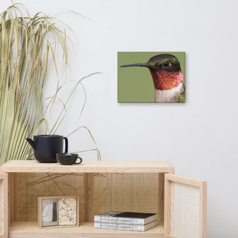 Close-up Ruby-throated Hummingbird Wildlife Photograph Canvas Wall Art Print, 12" X 16"