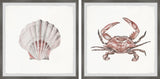 Crab and Shell Blush Diptych, 36"x18"