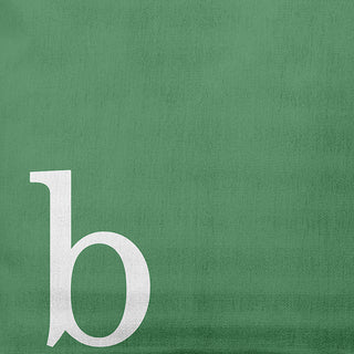 20" x 20" Modern Monogram Indoor/Outdoor Polyester Throw Pillow, Sage