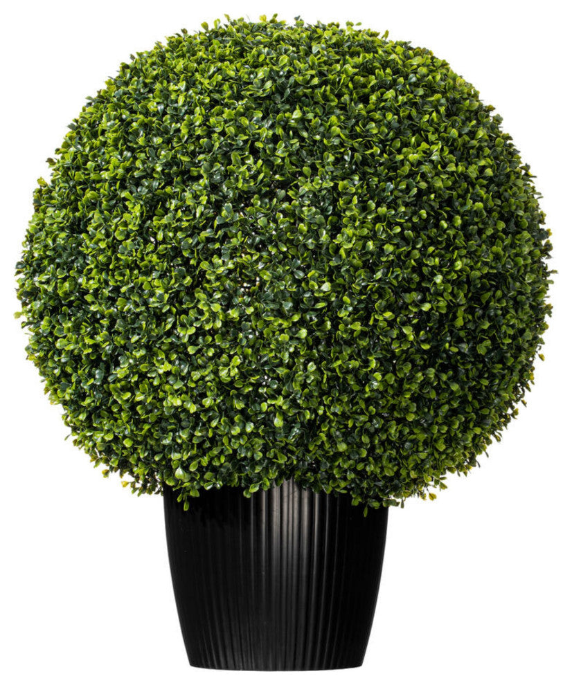 24" Boxwood Ball In Pot Uv