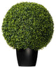 24" Boxwood Ball In Pot Uv