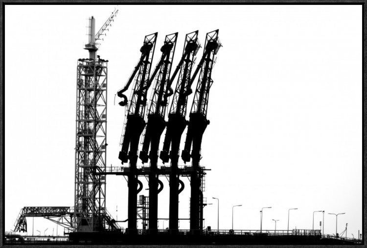 "Rotterdam-Harbour" Framed Canvas Giclee by Jan Niezen, 31x21"