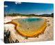 "Yellowstone Heat Pool Panorama" Landscape Print Wall Artwork, 20"x12"