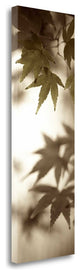 "Florison - 97" By Alan Blaustein, Giclee Print on Gallery Wrap Canvas