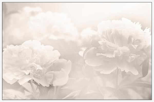 "Peony" Floater Framed Painting Print on Canvas, 18"x12"