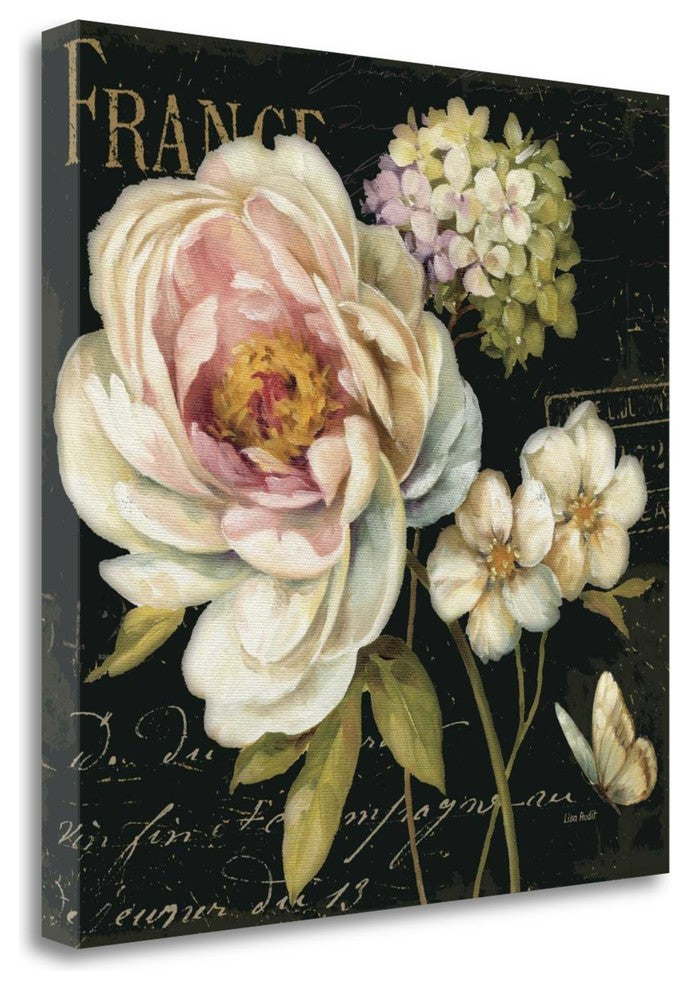 "Marche De Fleurs On Black I" By Lisa Audit, Giclee Print on Gallery Wrap Canvas