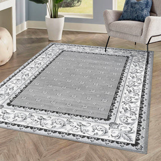 Acanthus French Border, Gray/Cream, 4'x6'