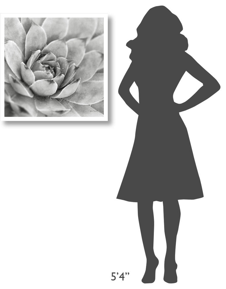 "Garden Succulent IV" Digital Paper Print by Laura Marshall, 26"x26"