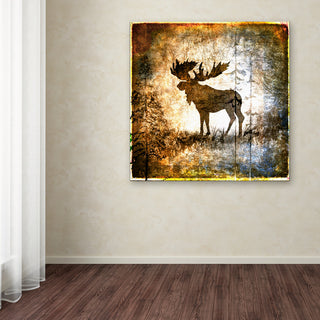 LightBoxJournal 'High Country Moose' Canvas Art, 24" x 24"