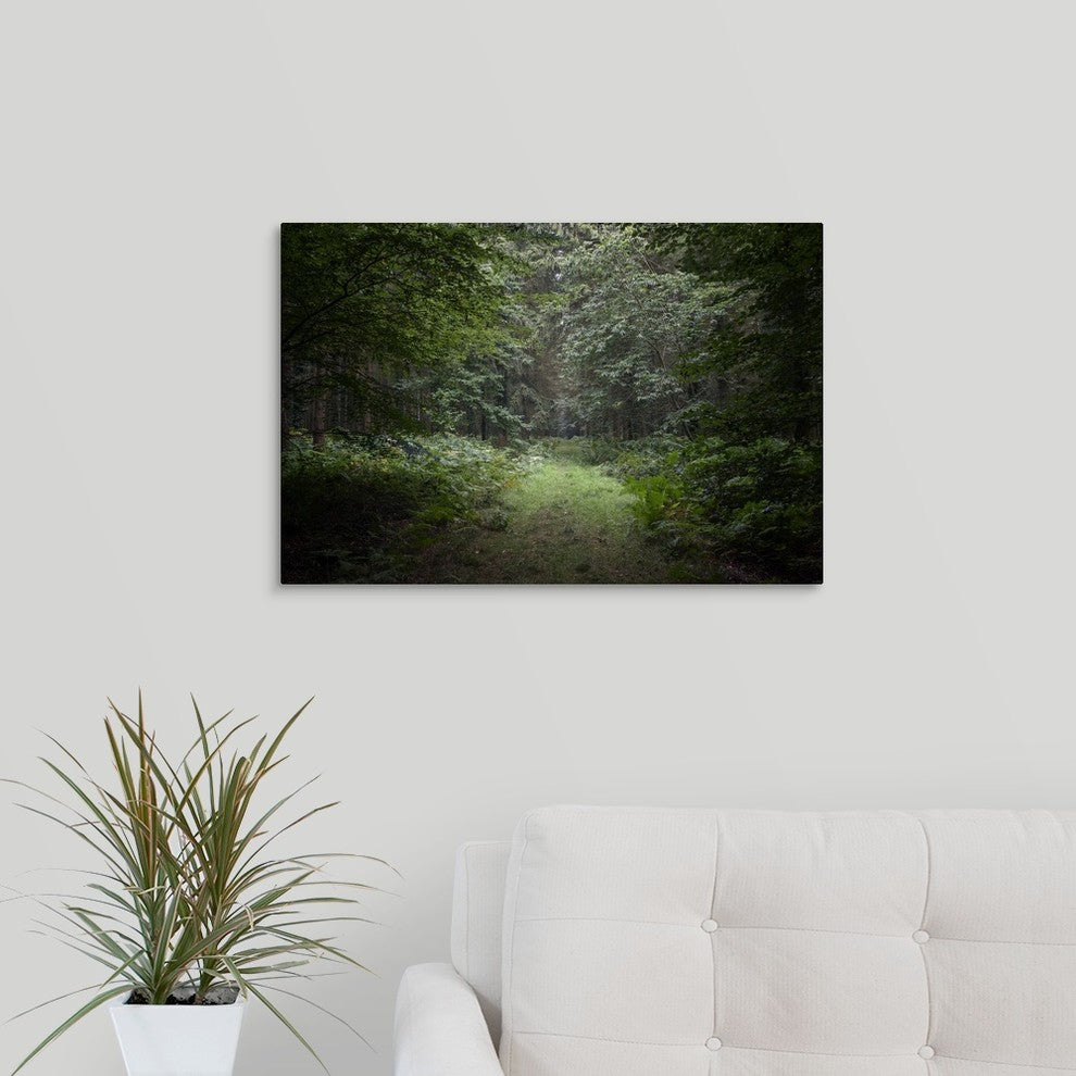 "Deep Forest" Wrapped Canvas Art Print, 24"x16"x1.5"