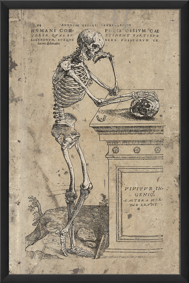 Humanis Corporis Ossium Cae Print