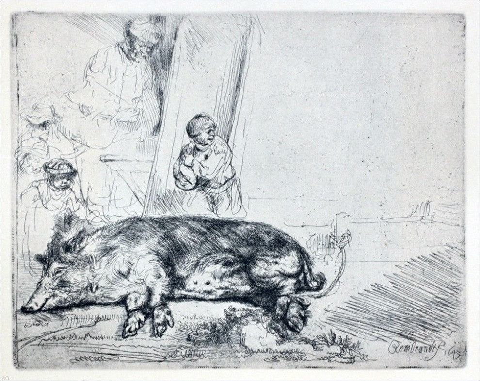 Rembrandt Van Rijn The Hog, Gallery Wrapped Canvas Print, 20"x25"
