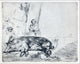 Rembrandt Van Rijn The Hog, Gallery Wrapped Canvas Print, 20"x25"
