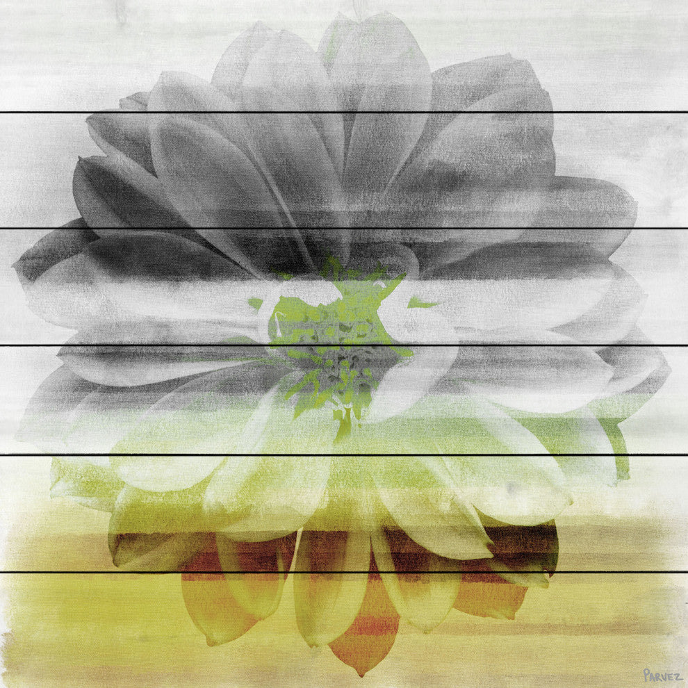 "Bloom" UV Ink Print on White Wood, 40"x40"